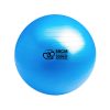 zitbal 55 cm te gebruiken op kantoor, in de sportschool, voor pilates of thuis zitbal 55 cm te gebruiken op kantoor, in de sportschool, voor pilates of thuis